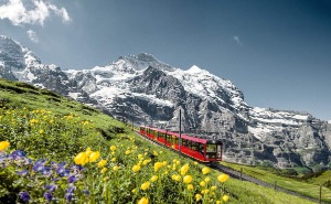 [스위스] [인터라켄] 유럽의 지붕 융프라우 열차 티켓 (인터라켄 동역 출발)