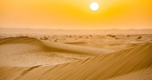 (6일전 예약 가능) 아랍에미리트 두바이 모닝 사막 사파리 투어