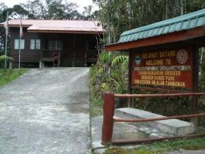 말레이시아 【일일투어】 코타키나발루 마후아 폭포 &amp; 정글투어