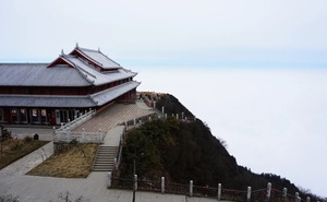 중국 청두 아미산 관광 지구 프라이빗 일일 투어 (낙산대불)