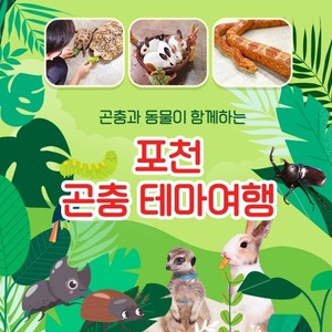 경기 포천 곤충 테마여행 입장권-B 입장권+먹이세트(유효기간:~2022년10월31일)